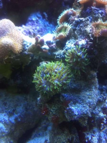 2012-04-15 20.57.57.jpg