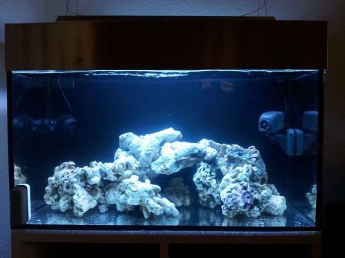 Akvarie front.jpg
