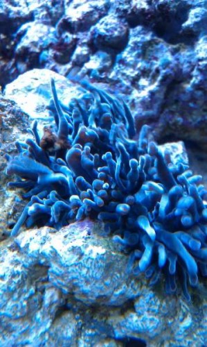 IMAG0979.jpg