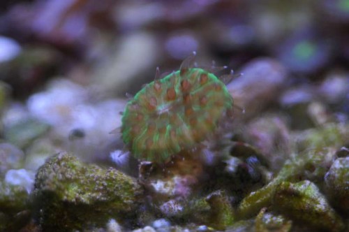 DSC_0285.JPG