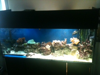 opdateret billede d. 20/04-2012 :o)