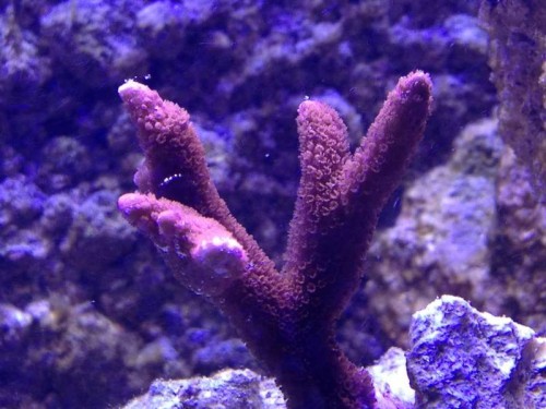 IMG_0547.jpg