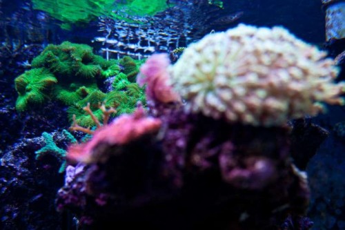 230423nesnej_pix (30 of 124).jpg