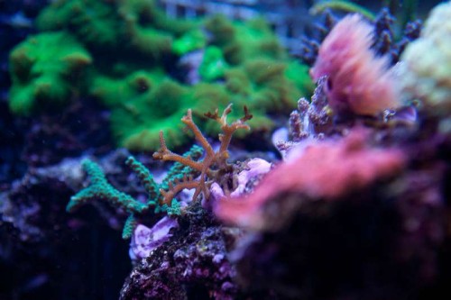230423nesnej_pix (27 of 124).jpg