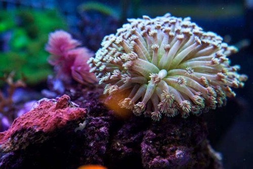 230423nesnej_pix (25 of 124).jpg