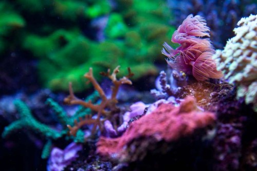 230423nesnej_pix (24 of 124).jpg