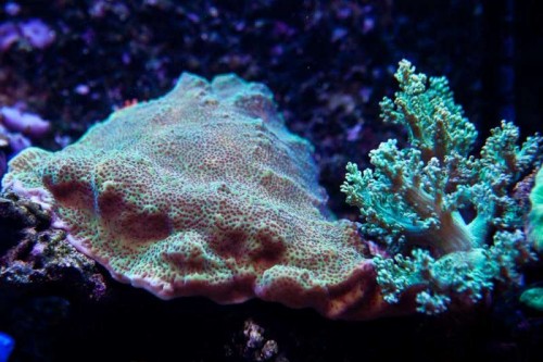 230423nesnej_pix (22 of 124).jpg