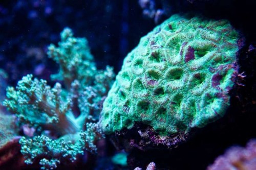 230423nesnej_pix (20 of 124).jpg