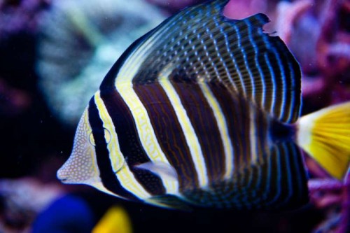 230423nesnej_pix (14 of 124).jpg