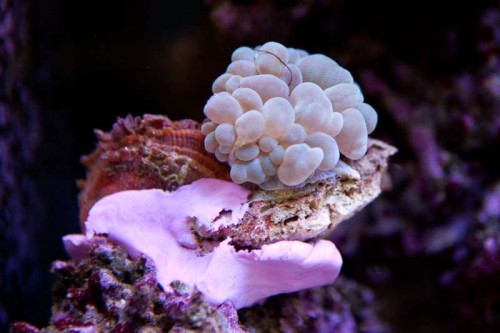 230423nesnej_pix (8 of 124).jpg