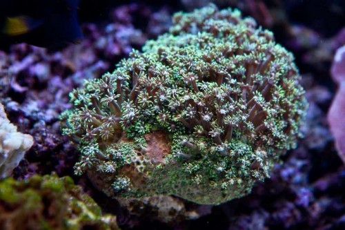 230423nesnej_pix (5 of 124).jpg
