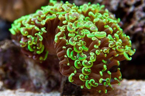 230423nesnej_pix (60 of 124).jpg