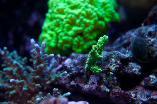 230423nesnej_pix (57 of 124).jpg