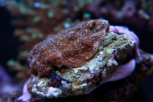 230423nesnej_pix (56 of 124).jpg