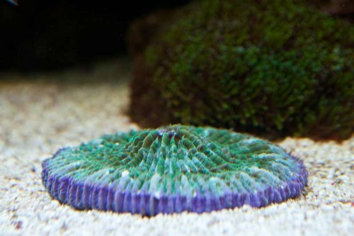 230423nesnej_pix (53 of 124).jpg