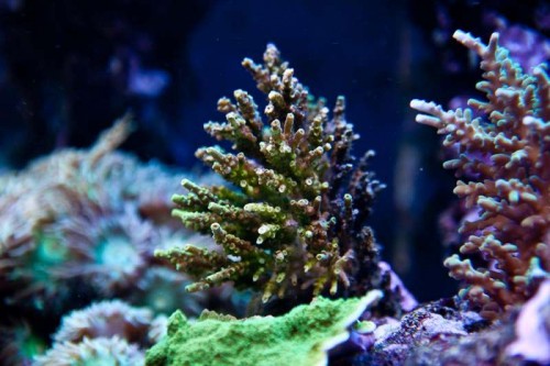 230423nesnej_pix (51 of 124).jpg