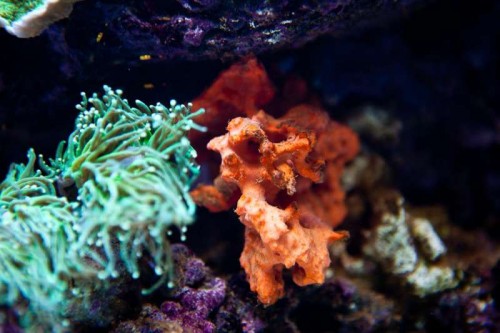 230423nesnej_pix (49 of 124).jpg