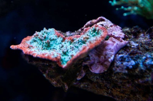230423nesnej_pix (47 of 124).jpg