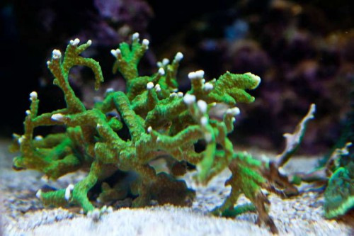 230423nesnej_pix (45 of 124).jpg