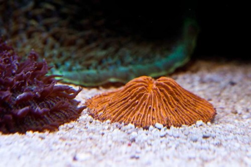230423nesnej_pix (43 of 124).jpg