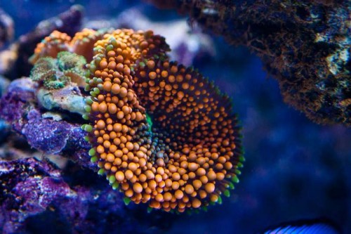 230423nesnej_pix (39 of 124).jpg