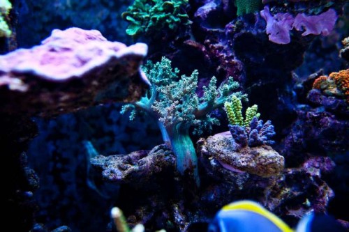 230423nesnej_pix (35 of 124).jpg