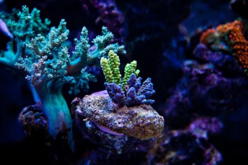 230423nesnej_pix (34 of 124).jpg