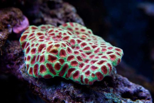 230423nesnej_pix (32 of 124).jpg