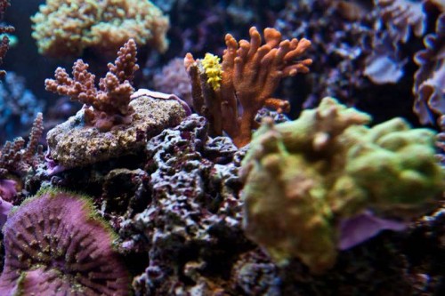 230423nesnej_pix (66 of 124).jpg
