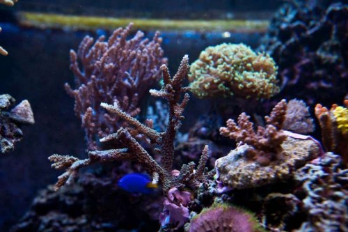 230423nesnej_pix (64 of 124).jpg