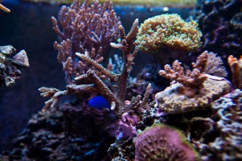 230423nesnej_pix (63 of 124).jpg