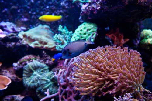 230423nesnej_pix (112 of 124).jpg