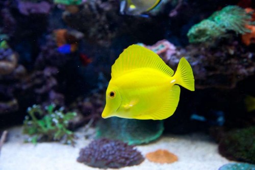230423nesnej_pix (105 of 124).jpg