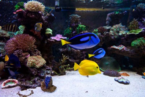 230423nesnej_pix (91 of 124).jpg