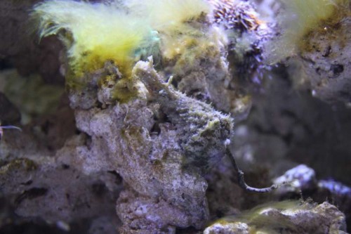 IMG_2853.JPG