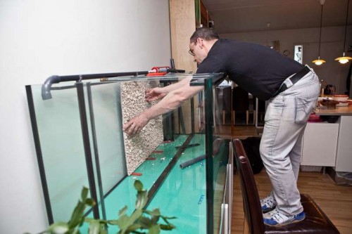 120428_eget akvarium (7 of 11).jpg