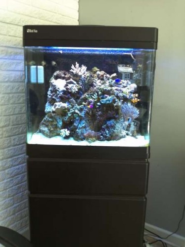 2012-04-30 13.37.26.jpg