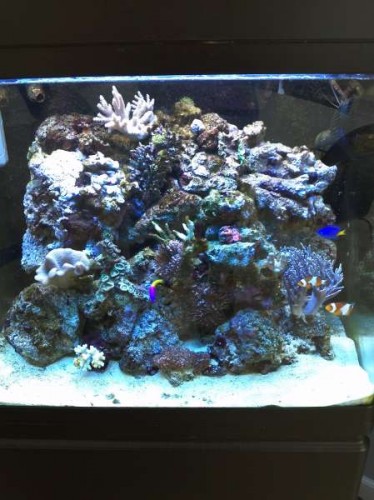 2012-04-30 13.37.42.jpg