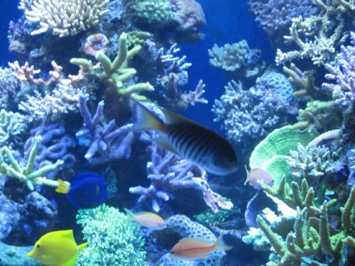 IMG_3588.jpg