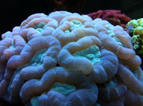 foto6.JPG