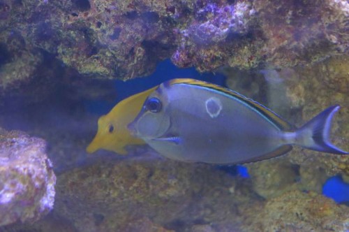 DSC01124.JPG