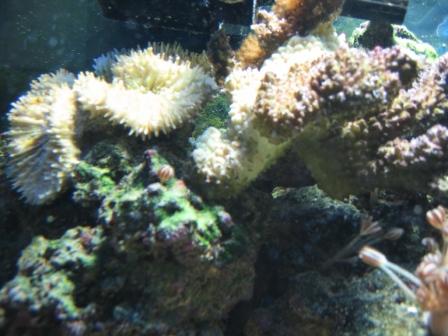 IMG_2564.JPG