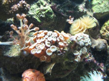 IMG_2562.JPG
