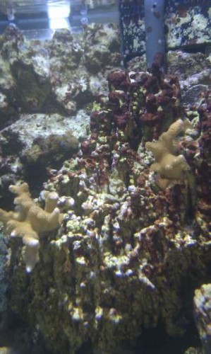 IMAG0651.jpg