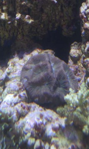 Den sidste nye fra deepocean