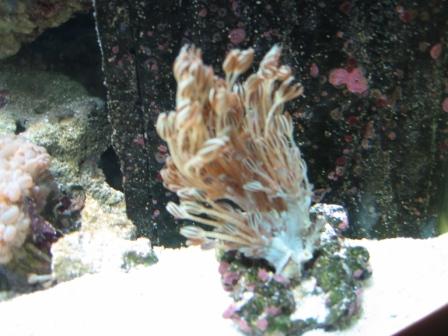 IMG_2560.JPG