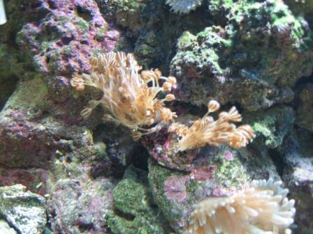 IMG_2559.JPG