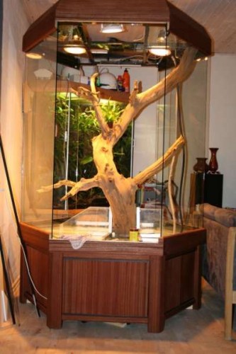 Terrarium konstruktion.JPG