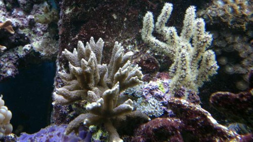 2012-05-23-278.jpg