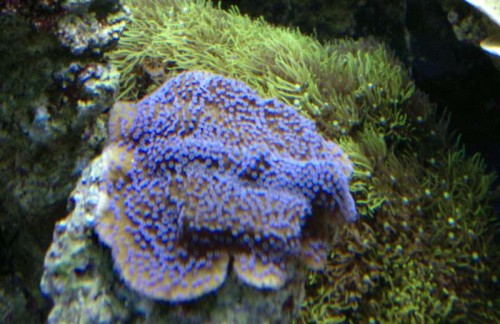 2012-05-23-280_1.jpg